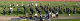Harvest2006-024