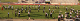 Harvest2006-290